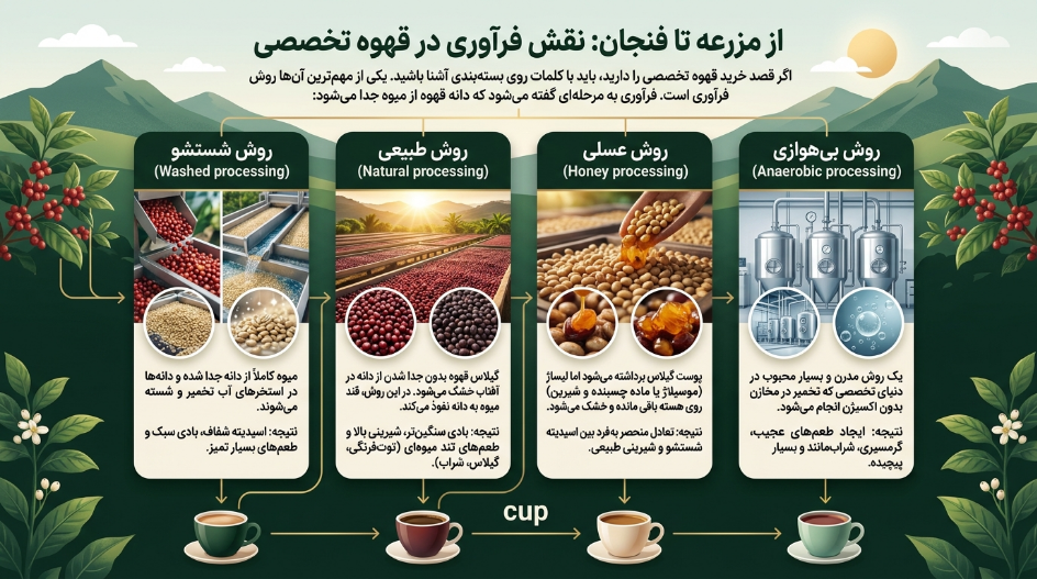 فرآوری قهوه اسپشیالتی