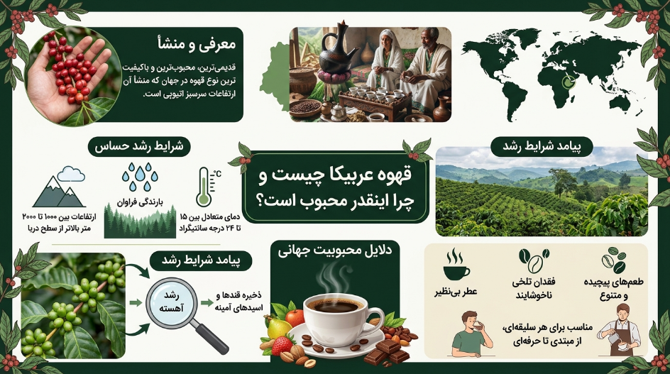 خرید قهوه عربیکا